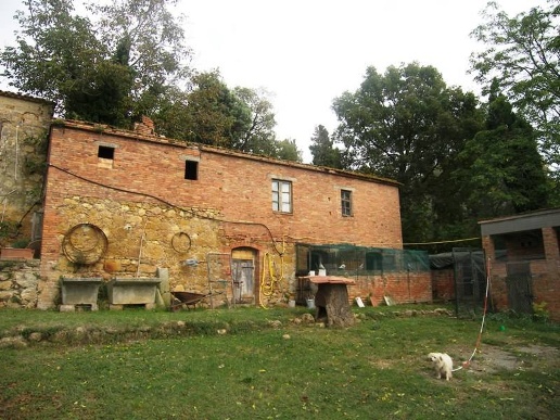 immagine annuncio 2 di 9