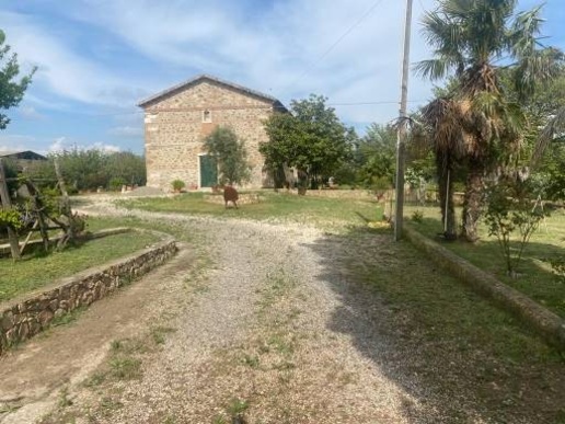 immagine annuncio 2 di 14