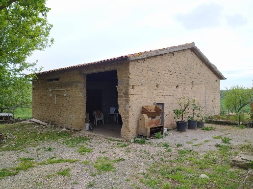 immagine annuncio 10 di 14