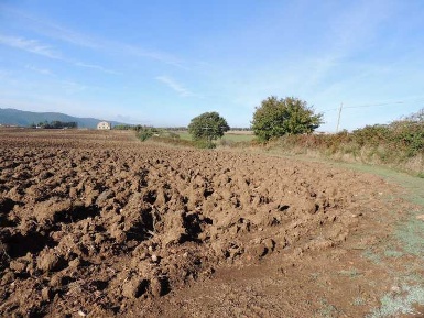 Foto Rustico in strada statale 11, Ischia di Castro di 100 m² con 5 locali