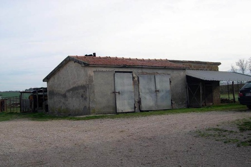 immagine annuncio 5 di 12