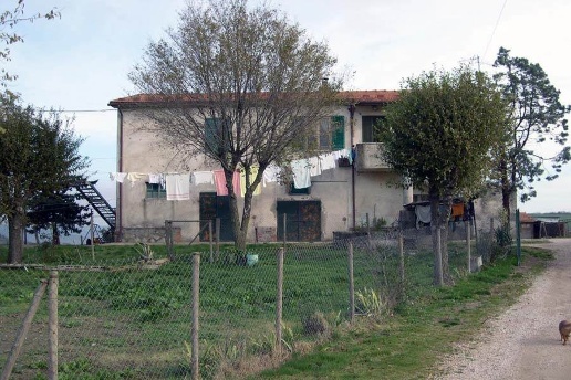 immagine annuncio 7 di 12