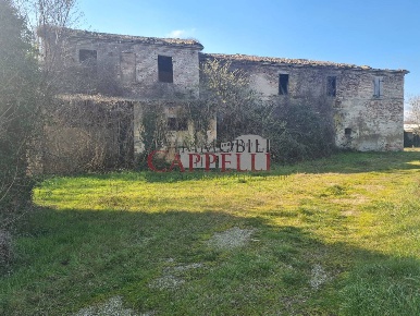 Foto Rustico a Bertinoro di 510 m² con 15 locali in vendita