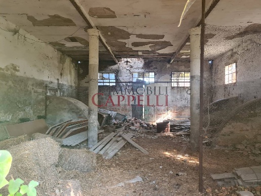 immagine annuncio 6 di 9