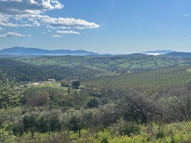 Foto Rustico a Magliano in Toscana Centro di 1071 m² con 10 locali