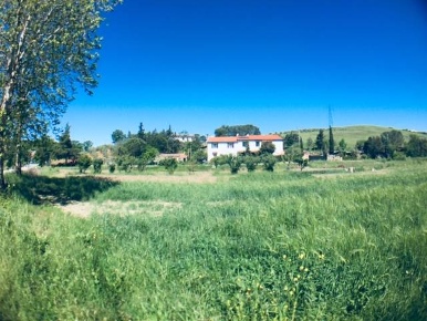 Foto Rustico a Riparbella di 200 m² con 9 locali in vendita