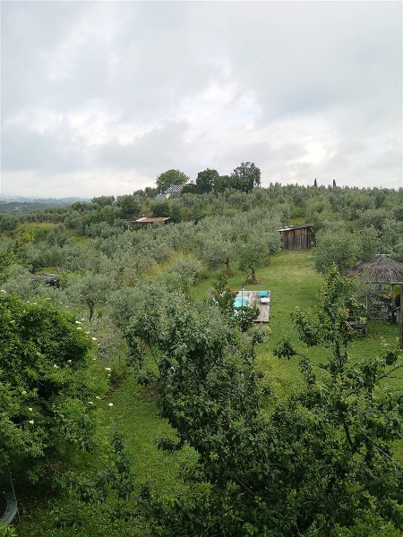 immagine annuncio 5 di 13