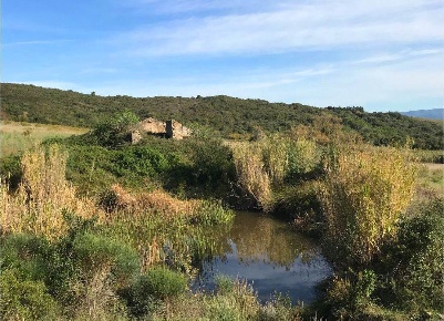 Foto Rustico a Rosignano Marittimo Castiglioncello di 160 m² con 6 locali