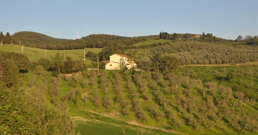 Foto Rustico in Strada Provinciale del Commercio, Santa Luce di 330 m²