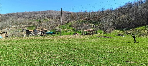Foto Rustico in Via Due Riviere, Armeno Centro di 260 m² con 8 locali
