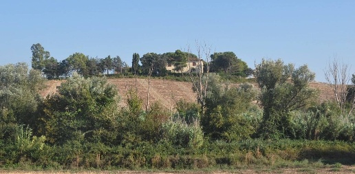 Foto Rustico in Via San Bartolomeo, Santa Luce di 350 m² con 10 locali