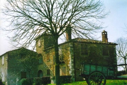 Foto Rustico a Torrita di Siena di 700 m² con 3 locali in vendita