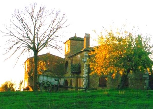 immagine annuncio 2 di 8