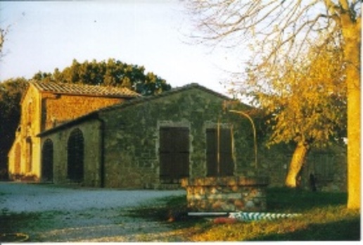 immagine annuncio 7 di 8