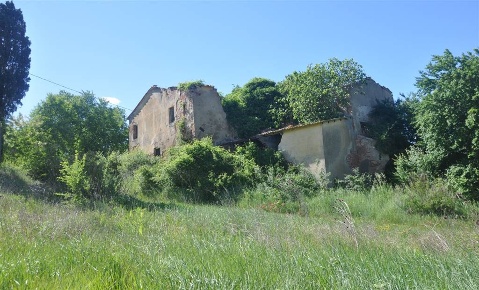 Foto Rustico in Strada Provinciale 11, Peccioli di 480 m² con 10 locali