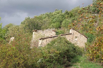 Foto Rustico in via Carbonile, Dicomano di 300 m² con 10 locali in vendita