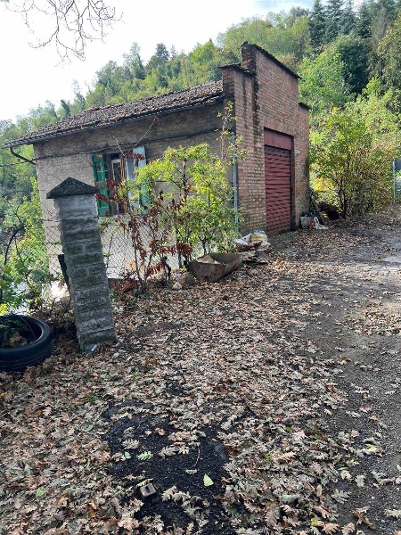 immagine annuncio 1 di 7