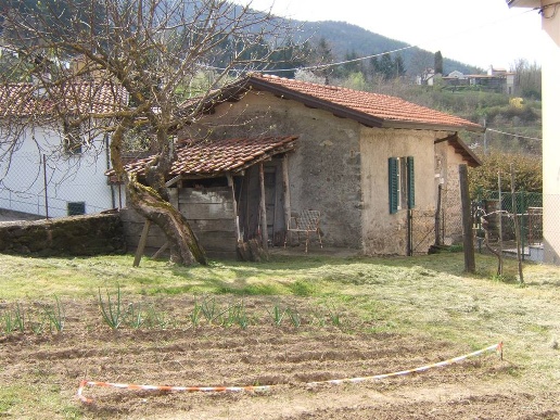 immagine annuncio 1 di 4