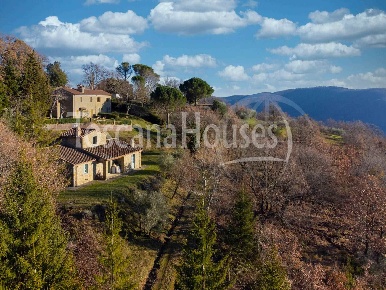 Foto Rustico a Cortona Centro di 150 m² con 6 locali in vendita