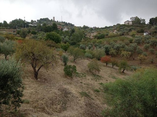 immagine annuncio 8 di 14