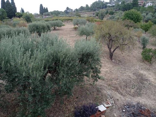 immagine annuncio 9 di 14