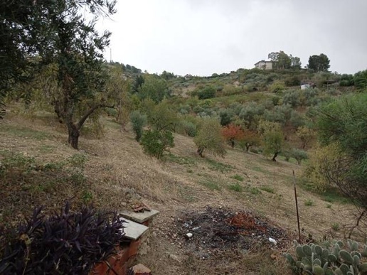 immagine annuncio 12 di 14