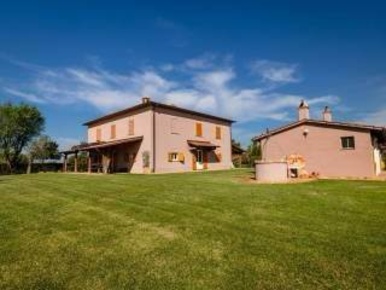 Foto Rustico a Magliano in Toscana Centro di 400 m² con 11 locali