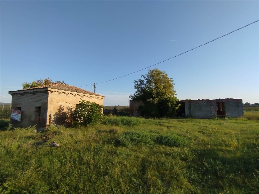 immagine annuncio 6 di 14