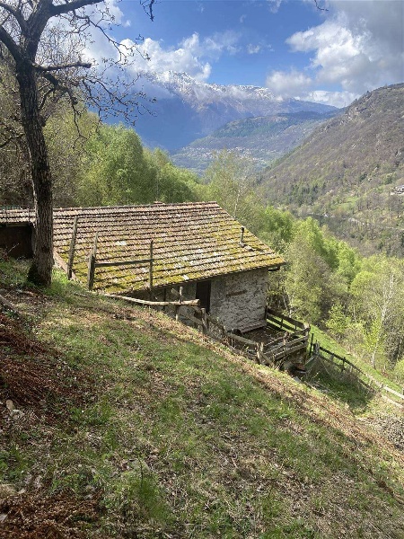 immagine annuncio 1 di 12