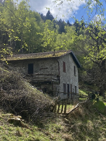 immagine annuncio 2 di 12