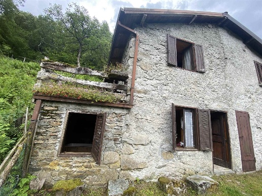 immagine annuncio 3 di 12