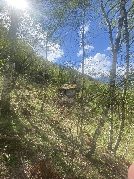 immagine annuncio 9 di 12