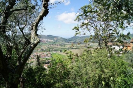 Foto Rustico a San Giuliano Terme Rigoli, Molina di Quosa di 800 m²