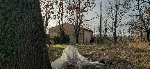 immagine annuncio 8 di 13