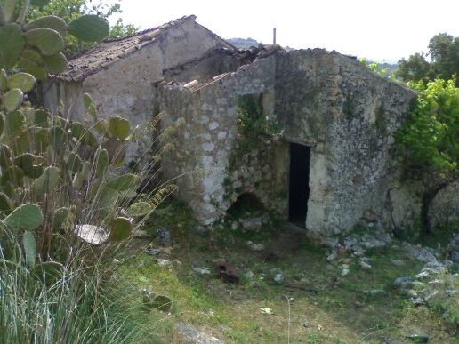 immagine annuncio 6 di 11