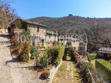 Foto Rustico a Castellina in Chianti Centro di 600 m² con 25 locali