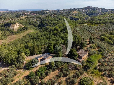 Foto Rustico a Asciano Centro di 785 m² con 18 locali in vendita