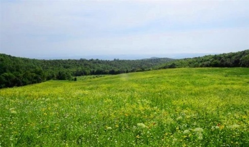 Foto Rustico in Via della Repubblica, Castellina Marittima di 400 m²