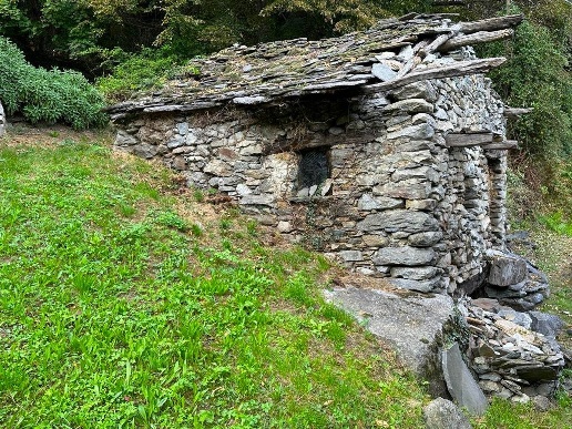 immagine annuncio 3 di 4
