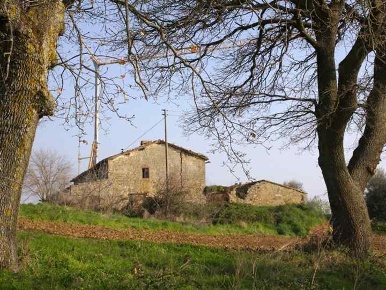 Foto Rustico a Pienza Monticchiello di 600 m² con 1 locali in vendita