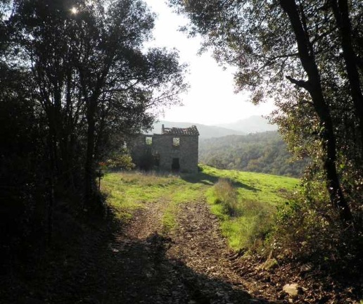 immagine annuncio 9 di 14