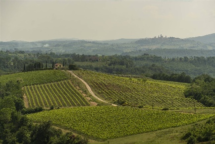 Foto Rustico a Certaldo Sciano, San Donnino, Tavolese di 320 m² in vendita