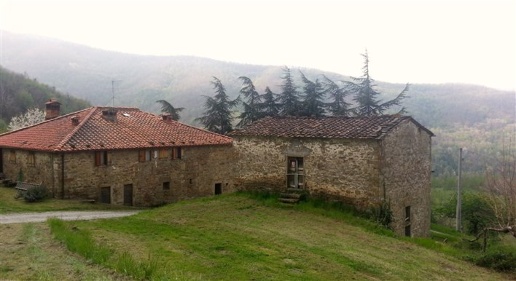 Foto Rustico a Londa di 700 m² con 20 locali in vendita