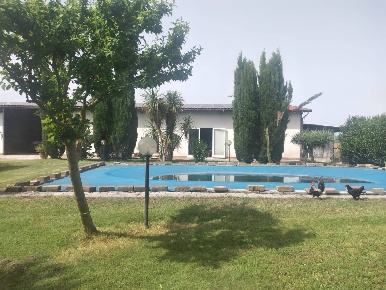 Foto Rustico in versegge, Roccastrada di 275 m² con 12 locali in vendita