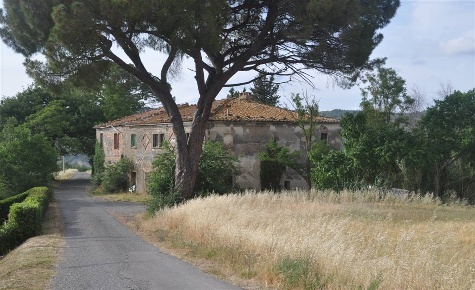 Foto Rustico a Pomarance di 650 m² con 16 locali in vendita