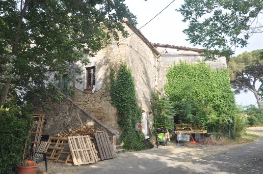 immagine annuncio 5 di 14