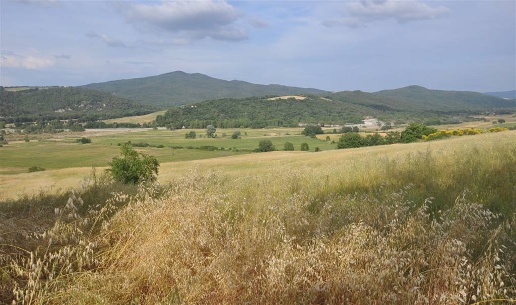 immagine annuncio 7 di 14
