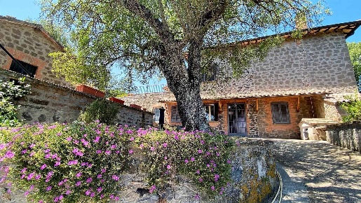 Foto Rustico in via cipollone, Montefiascone di 370 m² con 10 locali