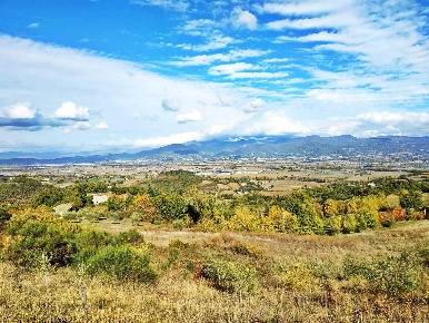 Foto Rustico a Città di Castello di 400 m² con 20 locali in vendita