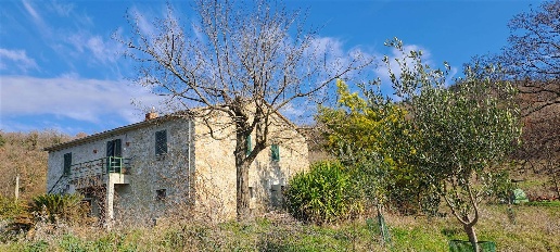 Foto Rustico a Scansano Poggioferro di 330 m² con 7 locali in vendita